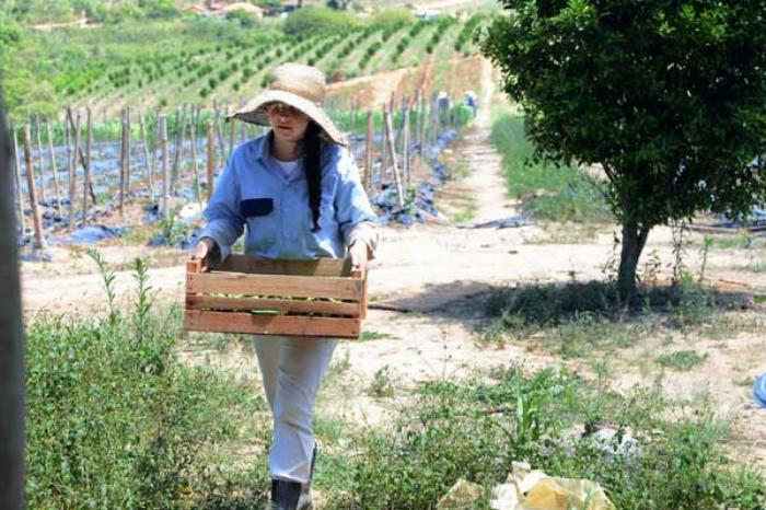 TJAC - Comarca de Tarauacá determina que INSS pague salário-maternidade à agricultora.